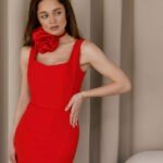 dress-case-made-of-costume-fabric4