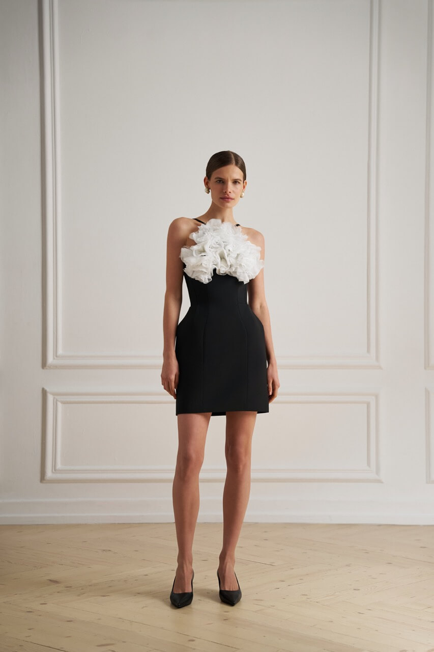 vivons-ss-10